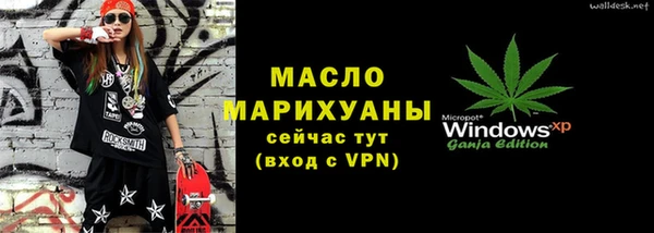 шишки Каменка